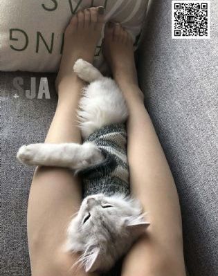 freexxx性欧美孕交孕妇_1080P在线观看视频